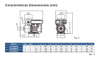 Bomba De Pressurização 3/4CV Inverter Press Eco Syllent 220v